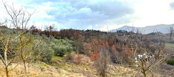 Земельный участок 785418м² в Умбертиде, Италия № 166360 21