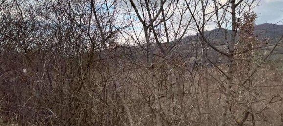 Земельный участок 785418м² в Умбертиде, Италия № 166360 9