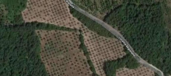 Земельный участок 785418м² в Умбертиде, Италия № 166360 28