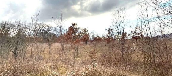 Земельный участок 785418м² в Умбертиде, Италия № 166360 12