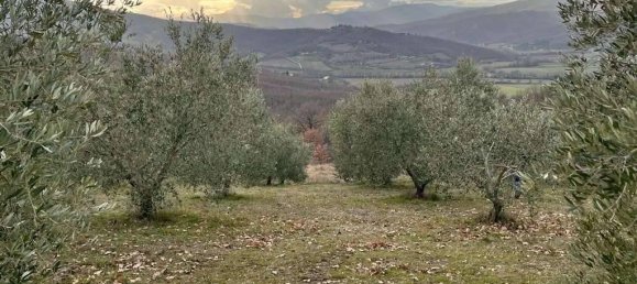 Земельный участок 785418м² в Умбертиде, Италия № 166360 3