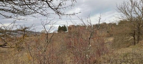 Земельный участок 785418м² в Умбертиде, Италия № 166360 23