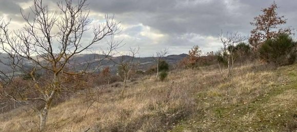 Земельный участок 785418м² в Умбертиде, Италия № 166360 22