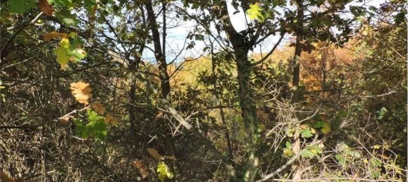 Земельный участок 785418м² в Умбертиде, Италия № 166360 44