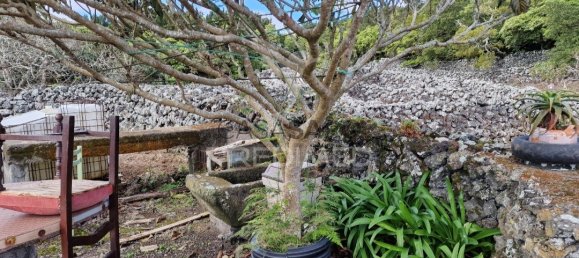 Grundstück in Praia da Vitoria, Portugal, Nr. 60324 9