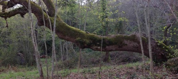 14 rooms House in Sarteano, Italy No. 173917 23