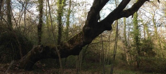 14 rooms House in Sarteano, Italy No. 173917 19