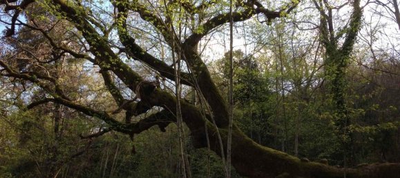 14 rooms House in Sarteano, Italy No. 173917 17