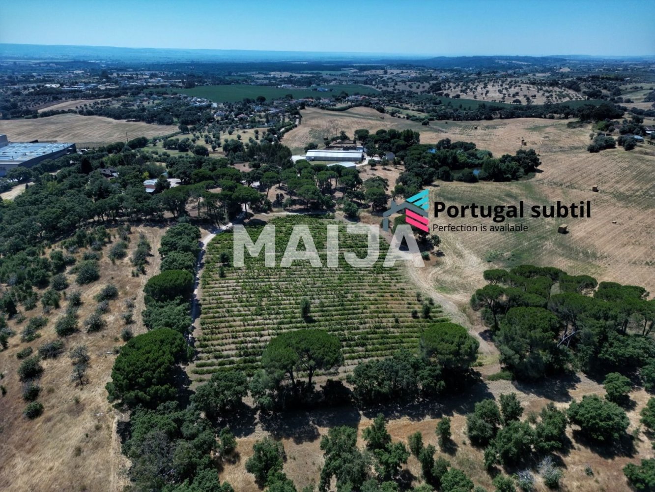 Grundstück in Torres Novas, Portugal, Nr. 338605