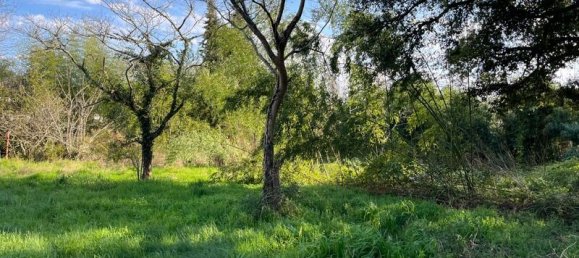 Terreno en Rion-des-Landes, France No. 308477 2