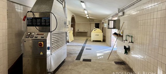 5 bedrooms Commercial property in Cetona, Italy No. 53652 25