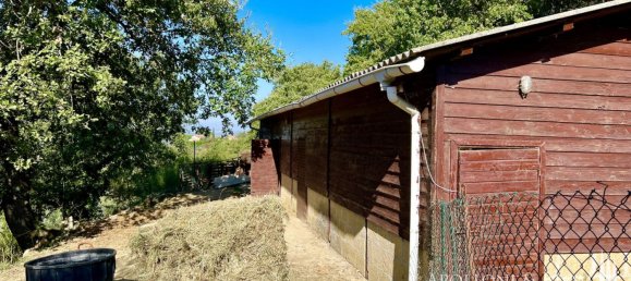 5 bedrooms Commercial property in Cetona, Italy No. 53652 21