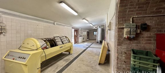 5 bedrooms Commercial property in Cetona, Italy No. 53652 24