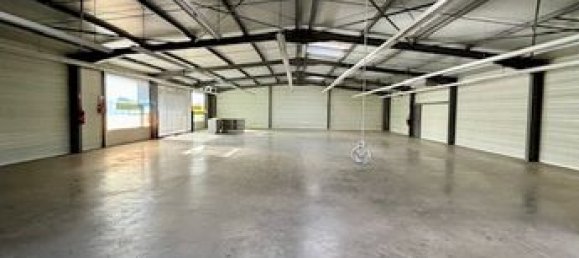 400m² Commercial property in Labruguiere, France No. 314749 2