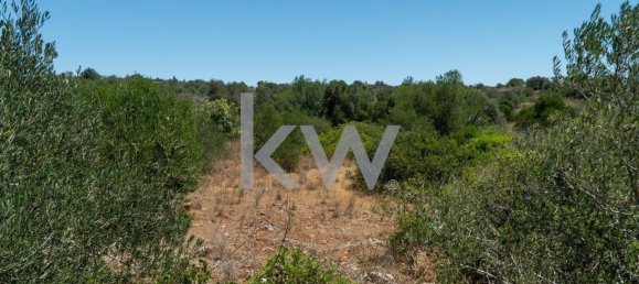  قطعة أرض في Sao Bartolomeu de Messines, Portugal 1280متر مربع رقم 61205 19