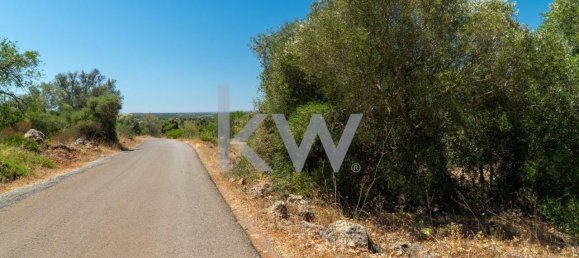  قطعة أرض في Sao Bartolomeu de Messines, Portugal 1280متر مربع رقم 61205 14