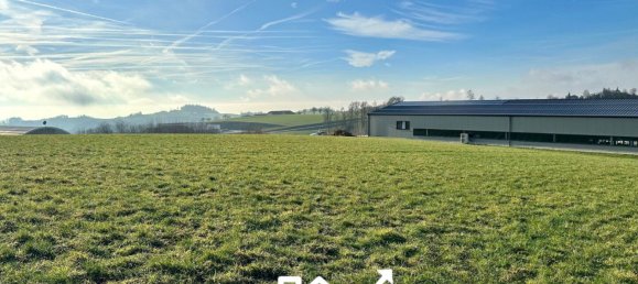 Terreno em Gramastetten, Austria N.º 126861 2