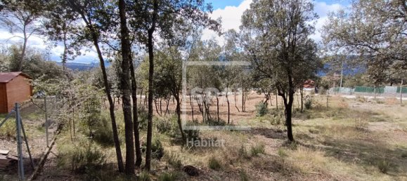 Terreno en Seva, Spain No. 77598 23