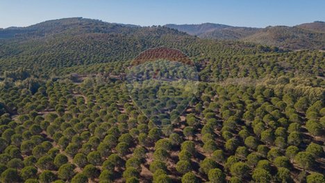 Grundstück in Sao Luis, Portugal 538750m², Nr. 37896