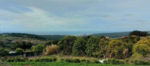 3 bedrooms House in Colares, Portugal No. 49638 13