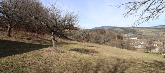 Terreno en Maria Lankowitz, Austria No. 128132 5