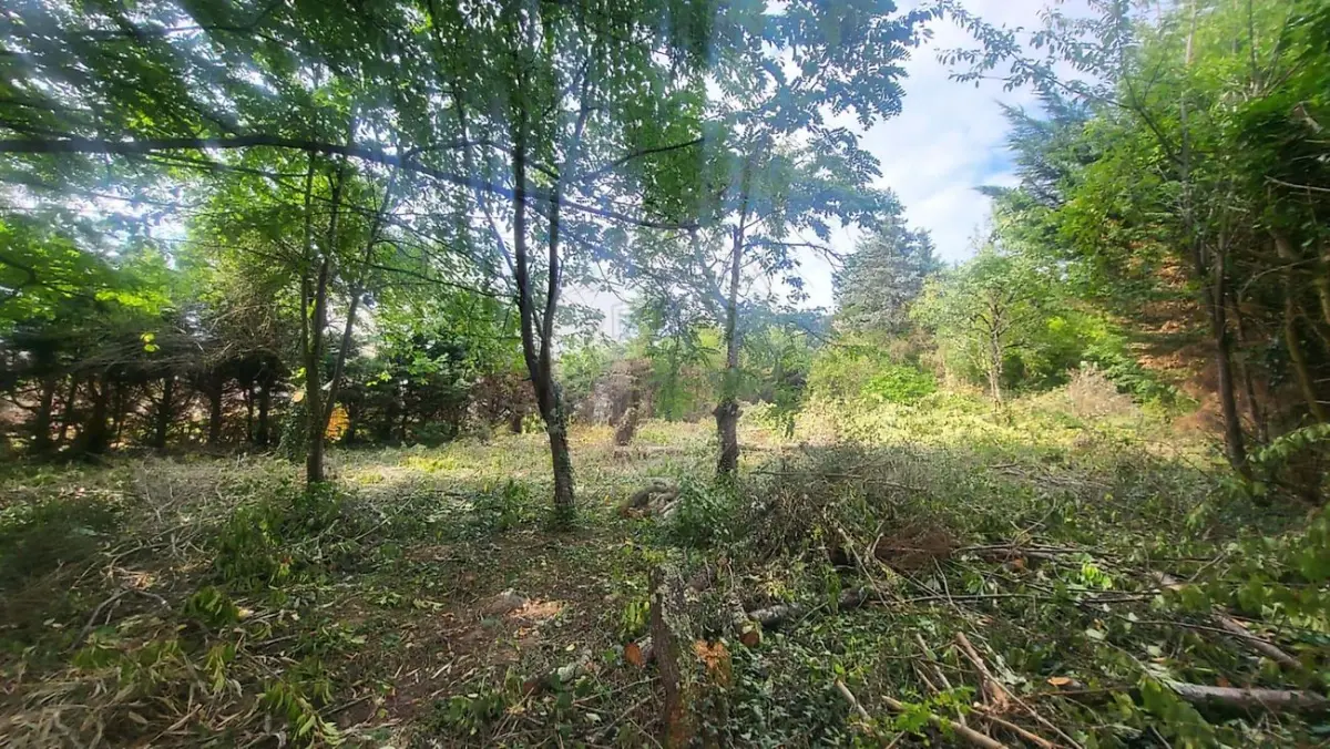 Terreno em Samoreau, France 518 m² N.º 297123