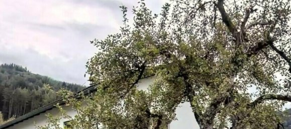 Terrain à Volders, Austria 930m² No. 43304 9