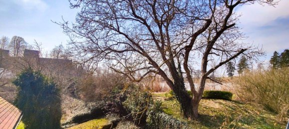 Дом с 7 комнатами в Гёпфриц ан дер Вильд, Австрия № 132263 37