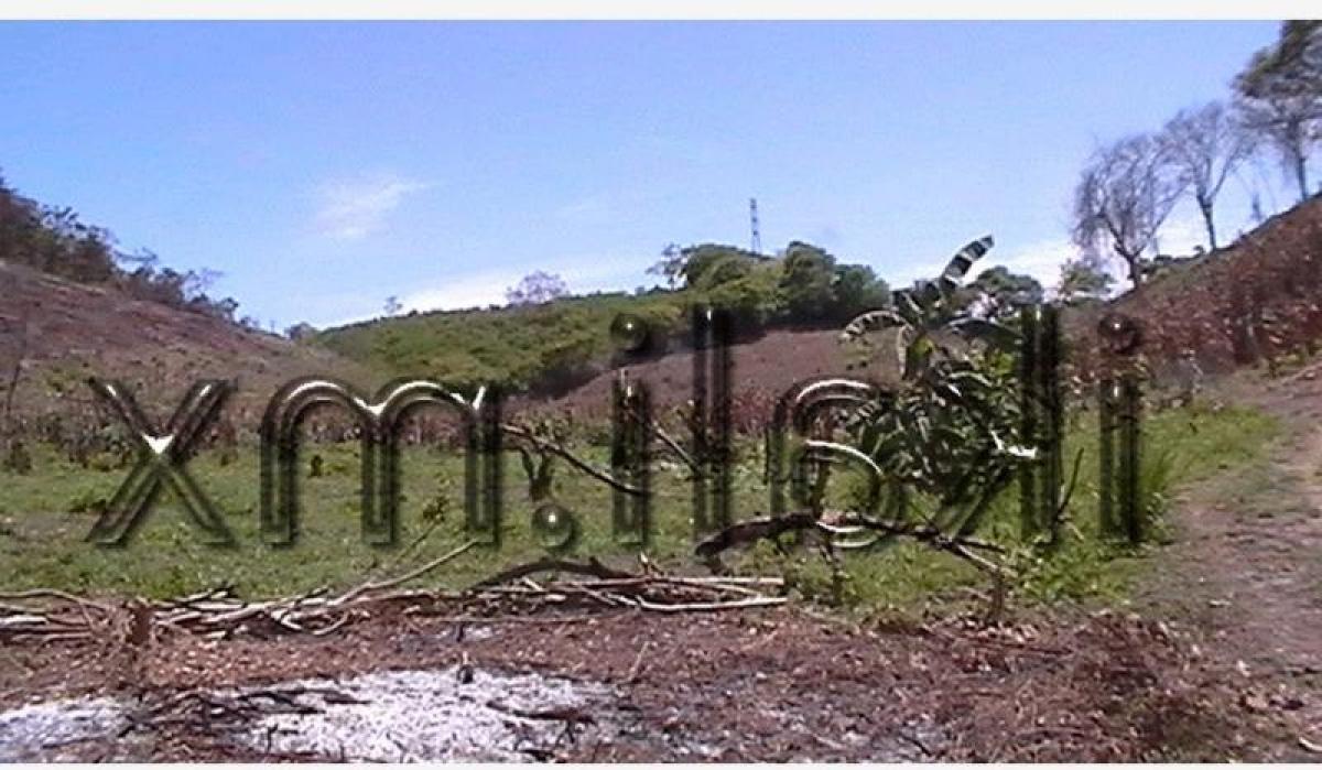  Land in Veracruz, Mexico No. 207006