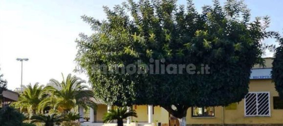 Apartamento de 1 dormitorio en Fiumicino, Italy No. 18193 5