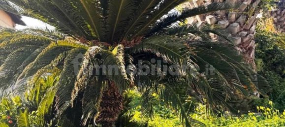 Apartamento de 1 dormitorio en Fiumicino, Italy No. 18193 21