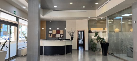 517m² Commercial property in Roquetas de Mar, Spain No. 151260 13