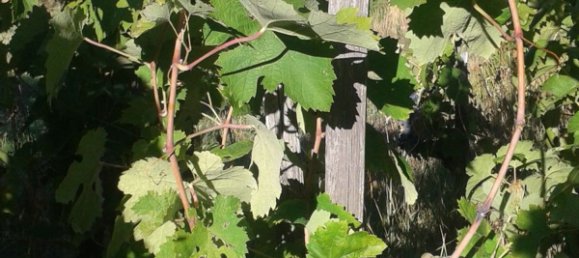 6-salle Maison à Acri, Italy No. 253978 5