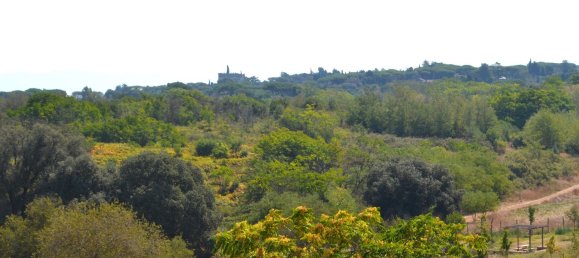 8 غرف نوم بانتهاوس في Rome, Italy رقم 318574 76