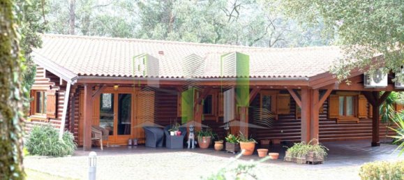 Дом с 11 спальнями в Оливейра ди Аземейш, Португалия № 72052 6