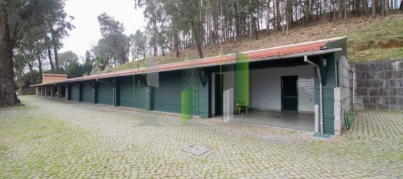 Дом с 11 спальнями в Оливейра ди Аземейш, Португалия № 72052 36