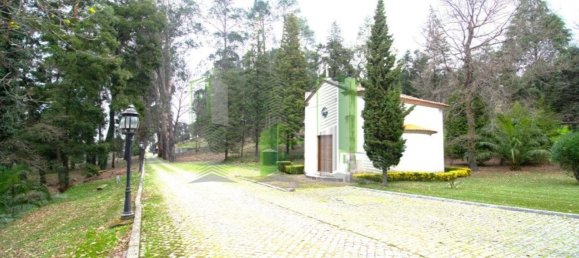 Дом с 11 спальнями в Оливейра ди Аземейш, Португалия № 72052 30