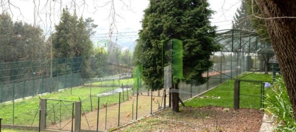 Дом с 11 спальнями в Оливейра ди Аземейш, Португалия № 72052 4