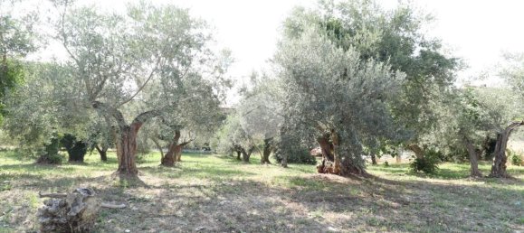 8 bedrooms House in Pianella, Italy No. 372150 22