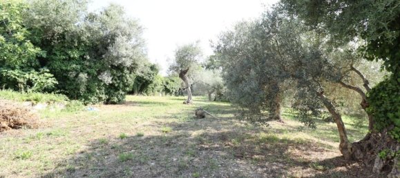 8 bedrooms House in Pianella, Italy No. 372150 21