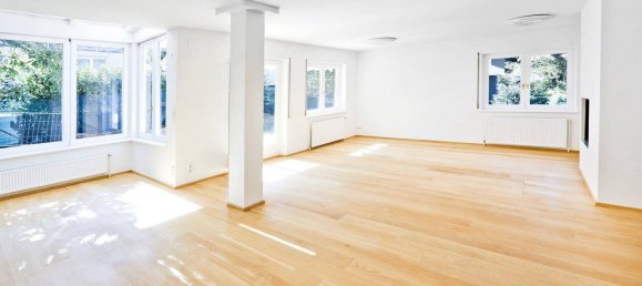 10 rooms House in Dobling, Austria No. 190231 4