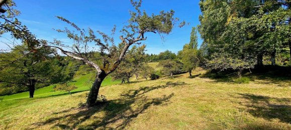 3 bedrooms House in Leutschach an der Weinstrasse, Austria No. 40888 17