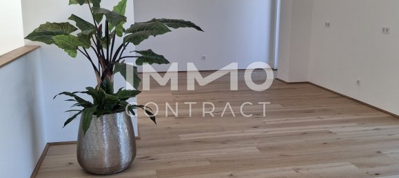 Дуплекс с 5 комнатами в Вена, Австрия № 233256 11