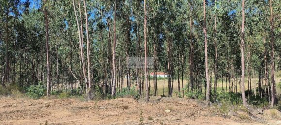 Terrain à Aljezur, Portugal 261m² No. 134024 13