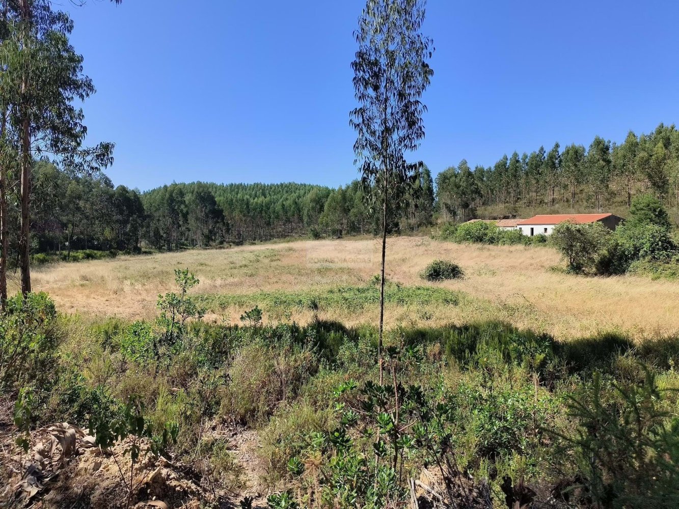 Terrain à Aljezur, Portugal 261m² No. 134024