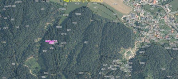 3688m² Land in Baldramsdorf, Austria No. 211238 6