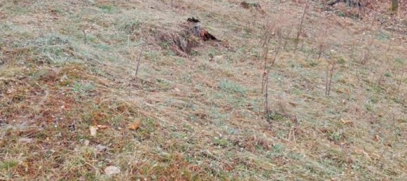 10-salle Maison à Valdilana, Italy No. 209317 4