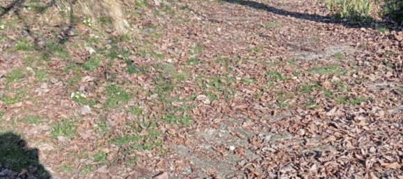 10-salle Maison à Valdilana, Italy No. 209317 28