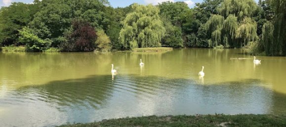 11 bedrooms Castles in Tournon-Saint-Pierre, France No. 68555 16