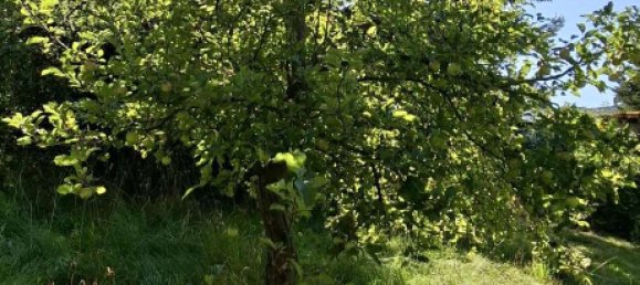 Terrain à Dresden, Germany No. 320334 6